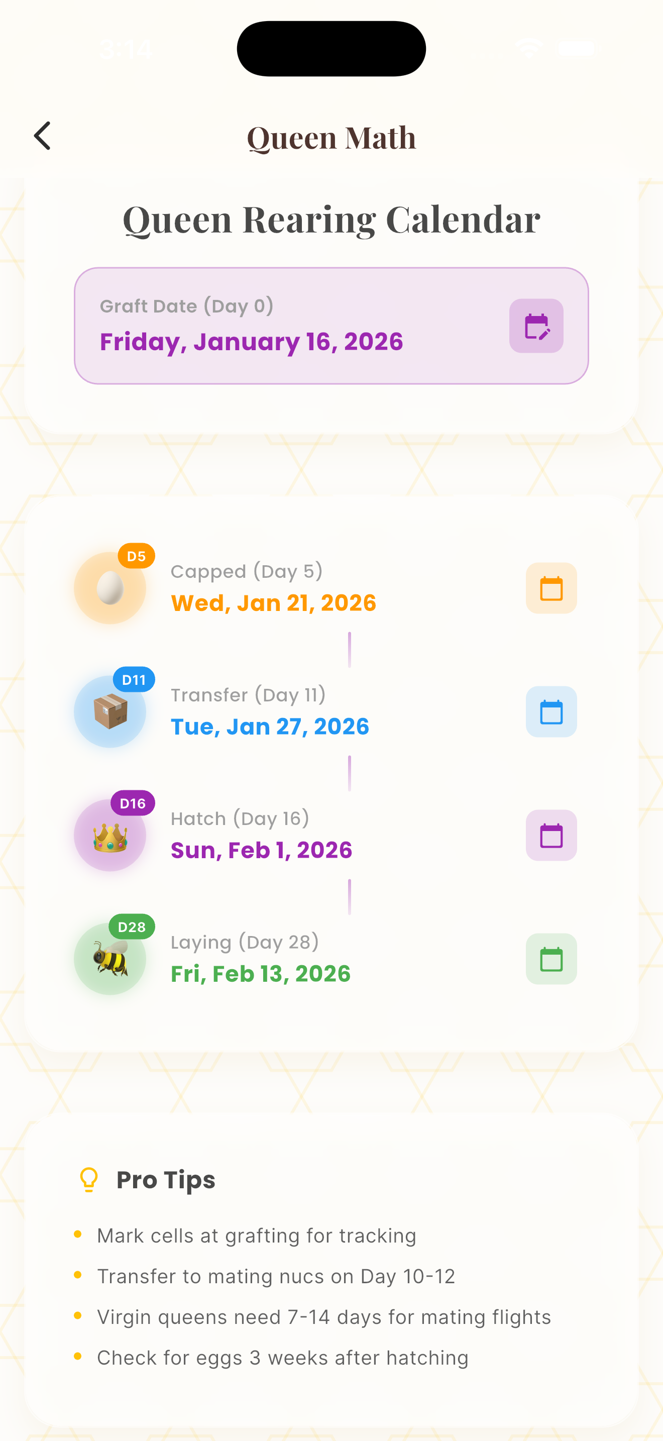 queen feature screenshot